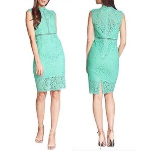 BARDOT NWOT Elini Lace Sheath Cocktail Dress Size 6 Slate Green
